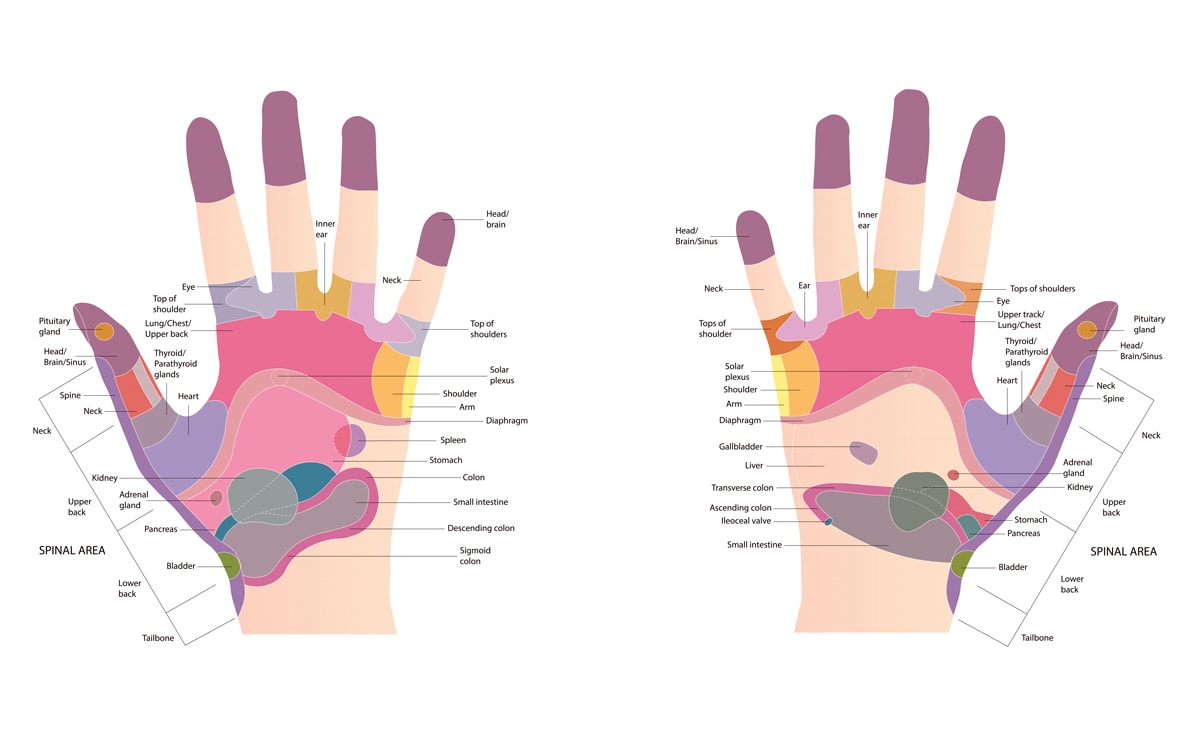 Hand Reflexology Chart / Diagram